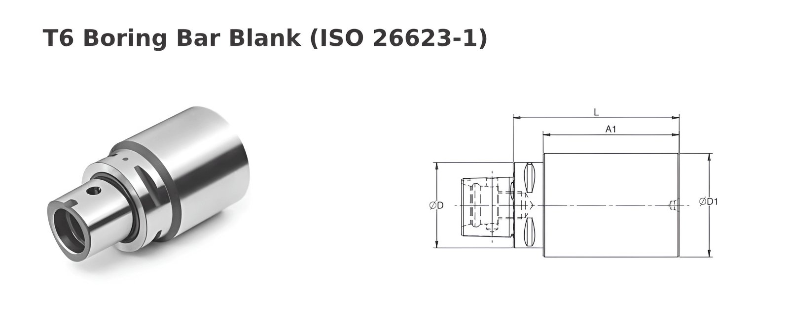 Polygonal Shank T6 Boring Bar Blank Dia 63 L 180 (Compatible with Capto® Style C6)